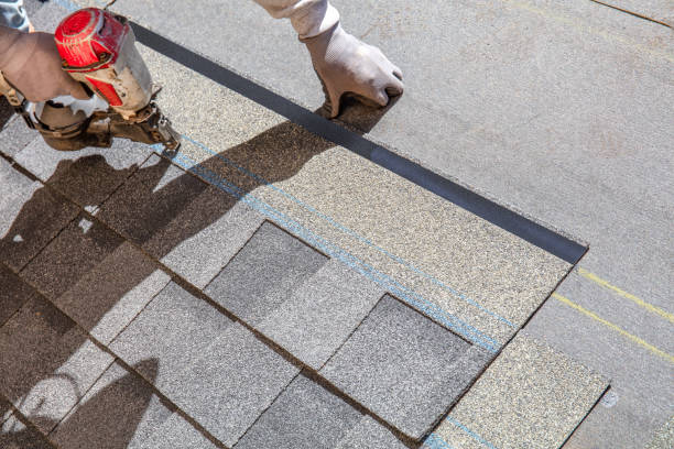 Best Roof Gutter Cleaning  in Brooklyn Center, MN